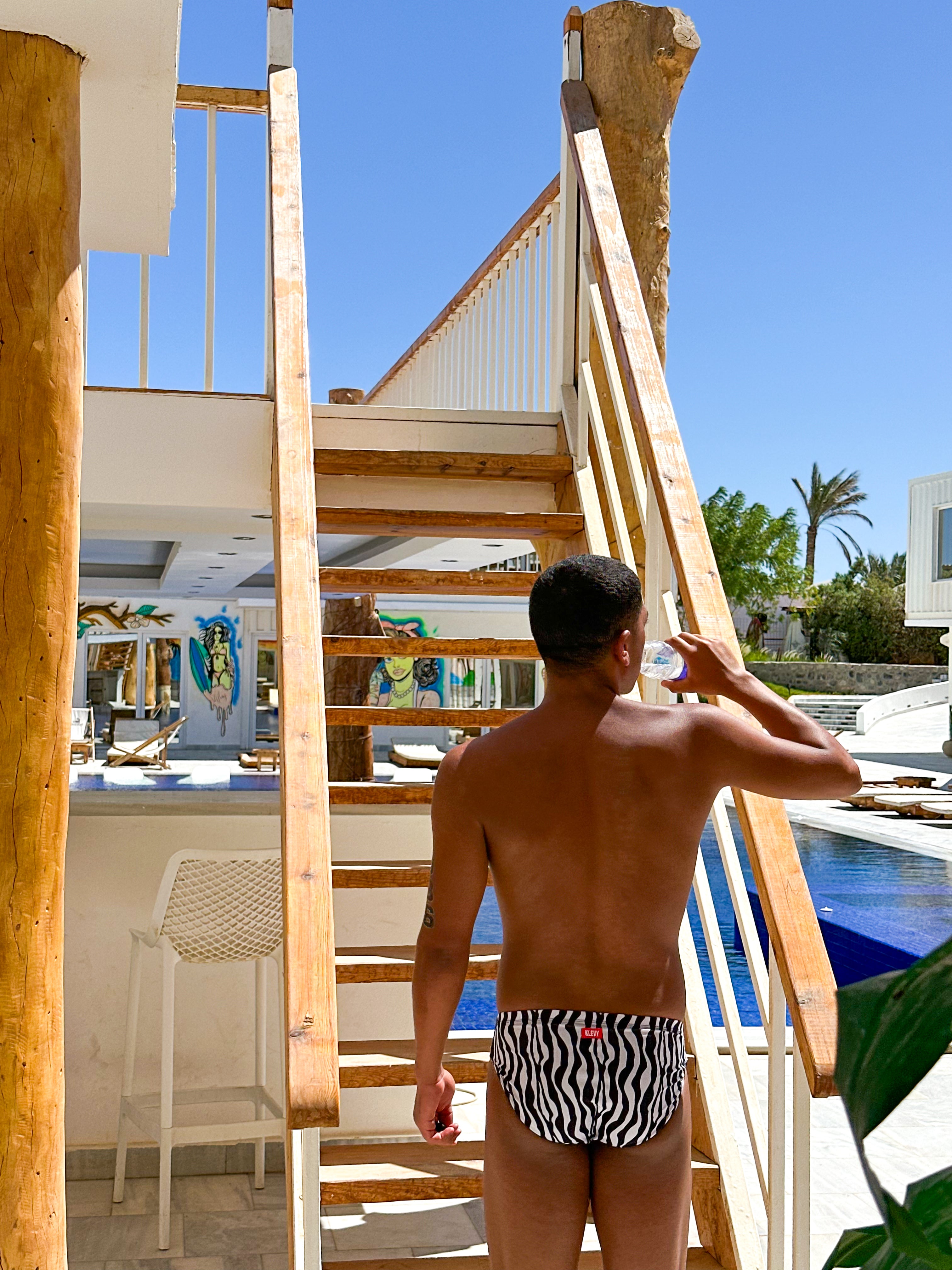 Men’s Swim Brief - Zebra Rhythm